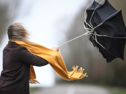 Küləklə bağlı sarı xəbərdarlıq verildi