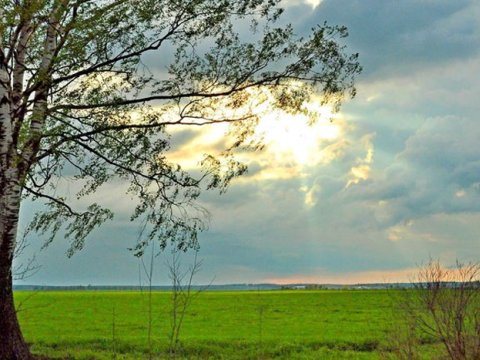 Əksər rayonlarda hava yağmursuz olub - FAKTİKİ HAVA