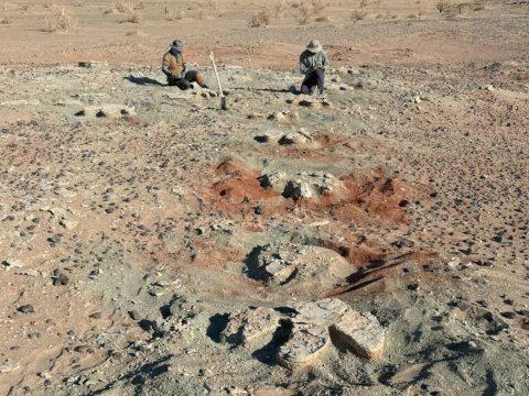 Alimlər nəhəng&nbsp;dinozavrın izlərini aşkarladılar