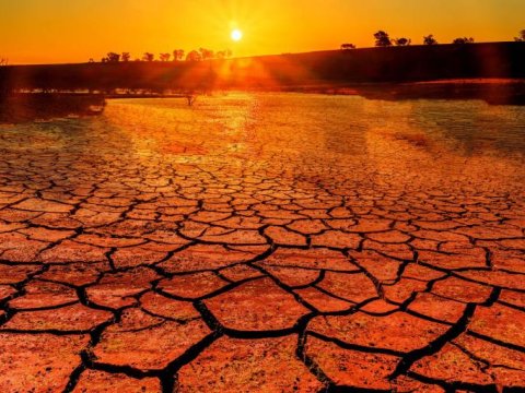 Alimlərdən xəbərdarlıq