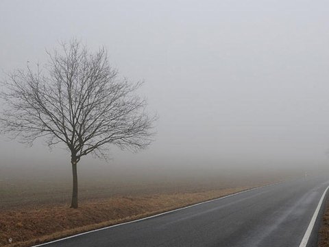 Yağmursuz keçib, duman olub -&nbsp;FAKTİKİ HAVA