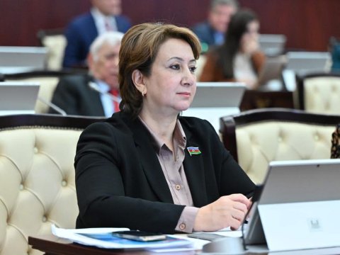 Gənclik müasir liderinin ətrafında sıx birləşərək əminliklə gələcəyə addımlayır