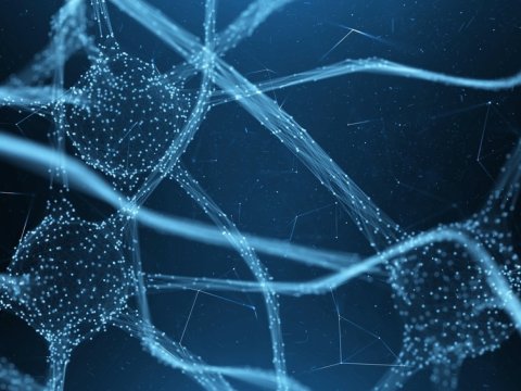 İnsan qavrayışını simulyasiya etmək üçün sintetik neyron yaradılıb