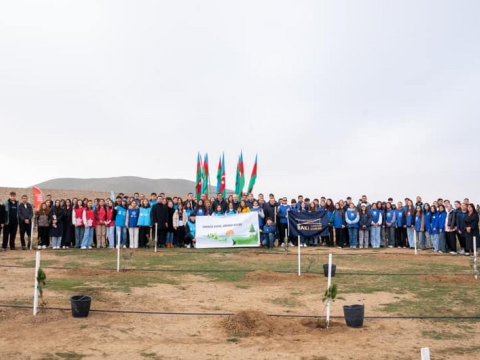 Gənclər Günü münasibətilə ağacəkmə aksiyası keçirilib