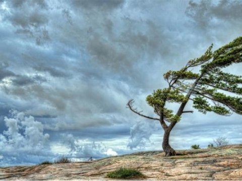 Küləkli hava şəraiti ilə bağlı XƏBƏRDARLIQ&nbsp;