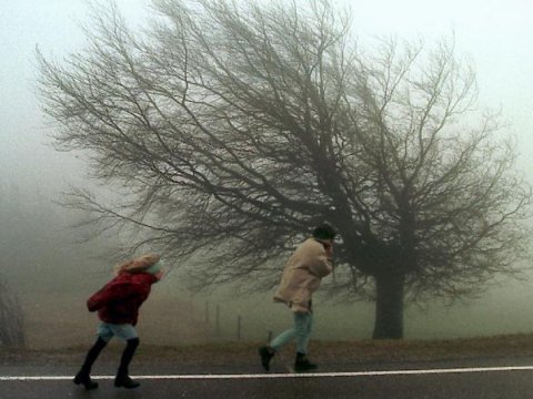 Küləkli hava şəraiti müşahidə olunur &ndash;&nbsp;FAKTİKİ HAVA