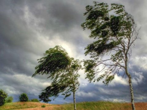 Güclü külək əsəcək -&nbsp;XƏBƏRDARLIQ