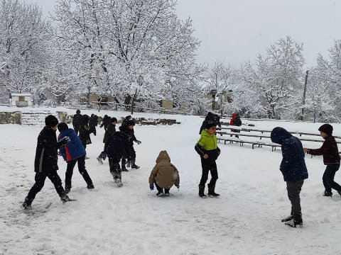 Dağlıq Şirvandakı məktəblərin istilik və davamiyyətlə bağlı vəziyyəti açıqlanıb