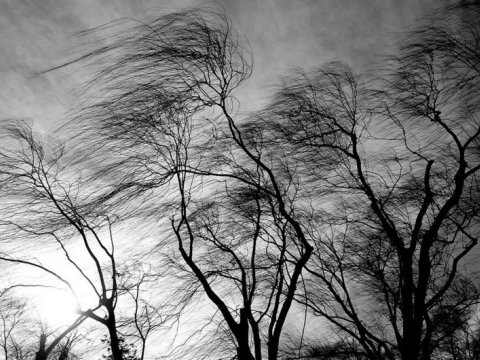 Bəzi ərazilərdə külək əsir -&nbsp;FAKTİKİ HAVA