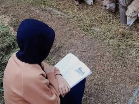 13 yaşlı Arzu Riyaziyyat üzrə Olimpiada QALİBİ OLUB