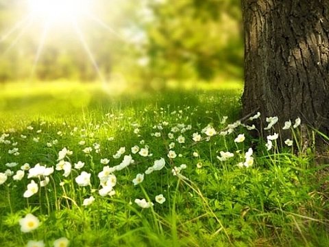 Bu gün hava necə olacaq?