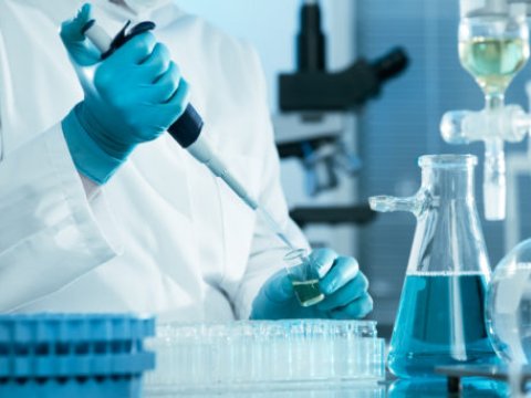 Gələn il ali məktəblərin bazalarında 2 tədqiqat universiteti yaradılacaq
