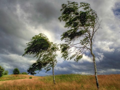 Bəzi yerlərdə yağıntı və külək müşahidə olunur