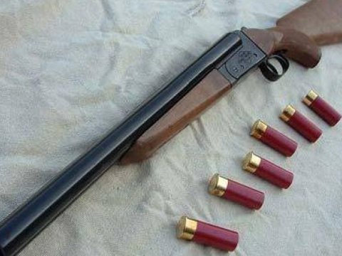 21 yaşına çatmış şəxslər də silah ala bilər