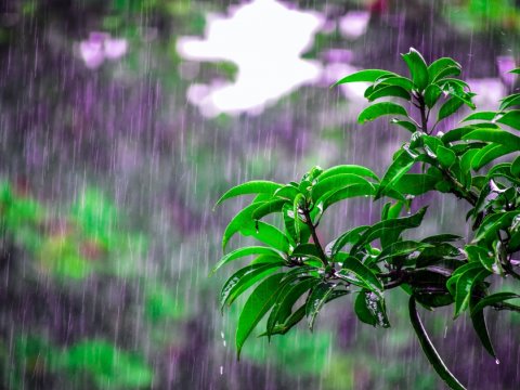 Bu gün hava necə olacaq?