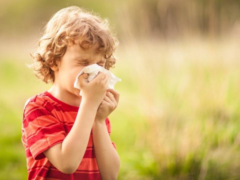 Bahar tez gələrsə, allergiyası olanlar nə etməlidirlər?