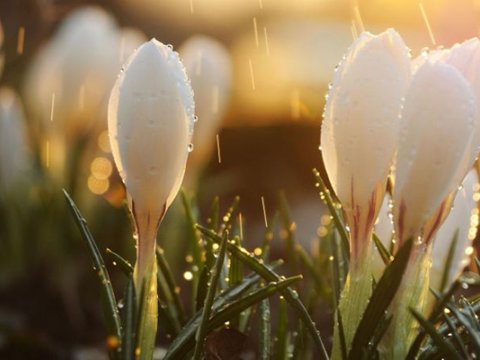 Qeyri-sabit hava nə vaxtadək davam edəcək?