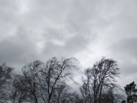 Növbəti iki gündə güclü külək əsəcək - XƏBƏRDARLIQ