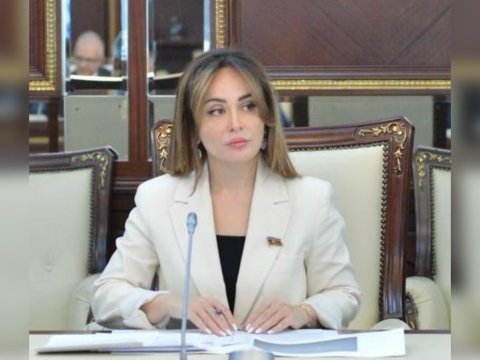 Dəyişikliklər&nbsp;peşə təhsilinə marağı daha da artıracaq -&nbsp;Deputat