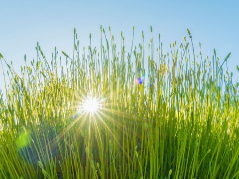 Bayram günlərində gözlənilən hava proqnozu açıqlanıb