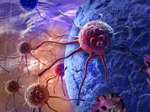 Xərçəng hüceyrələrinin&nbsp;gizlənməsinin qarşısını almaq üçün yeni üsul tapılıb