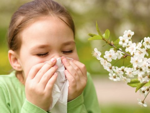 Allergik xəstəliklər: Hər dörd uşaqdan biri risk altındadır - PEDİATR