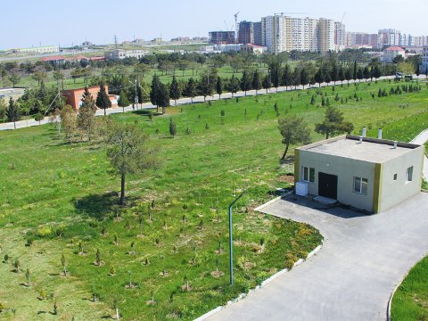 BMU ərazisində yaşıllaşdırma işləri aparılıb