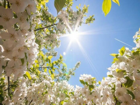 27 dərəcə isti olacaq -&nbsp;Günün havası