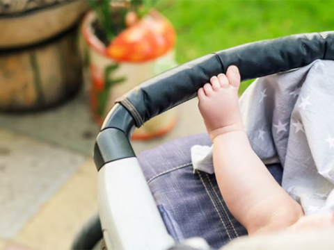 Komitə sədri: Çoxuşaqlı ailələrin sayı azalıb