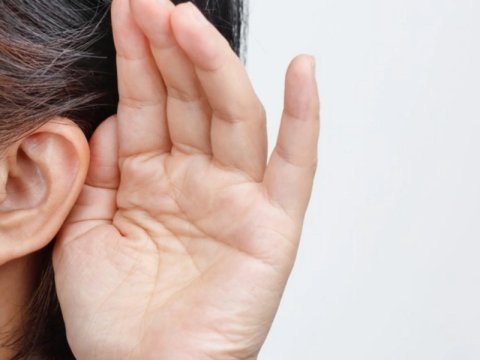 Alimlərdən yeni araşdırma