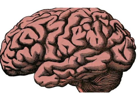 Spirtli içki beyində zədələnmə riskini artırır -&nbsp;ARAŞDIRMA