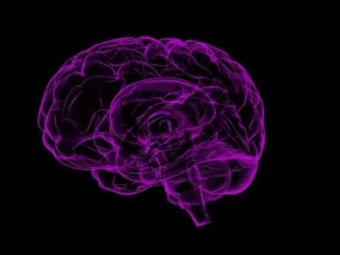 Bu yaşda autizm simptomları daha yüksəkdir - TƏDQİQAT