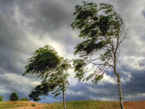Küləkli hava şəraiti davam edir -&nbsp;FAKTİKİ HAVA
