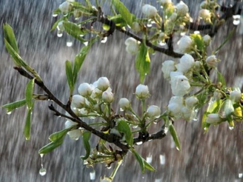 Hazırda yağış yağan&nbsp;RAYONLAR