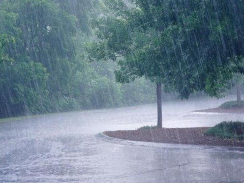 Bu günün HAVA PROQNOZU