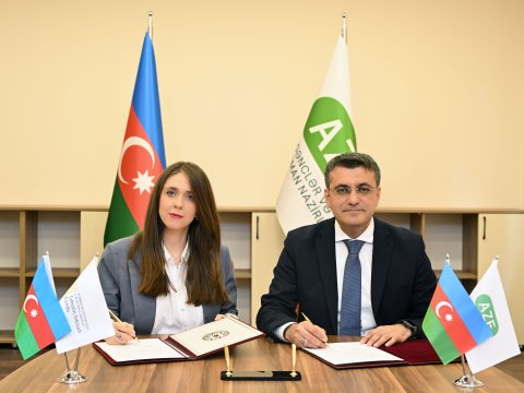 Gənclər və İdman Nazirliyi ilə TİF arasında&nbsp;əməkdaşlıq olub&nbsp;