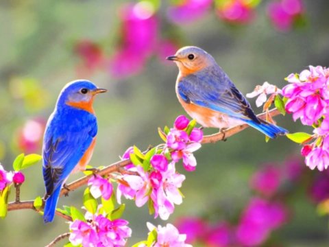 Yağmursuz, duman, 22 dərəcə isti -&nbsp;Günün havası