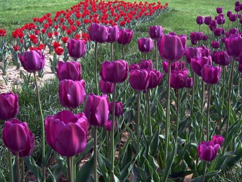 Sabah havanın temperaturu 27 dərəcəyədək yüksələcək