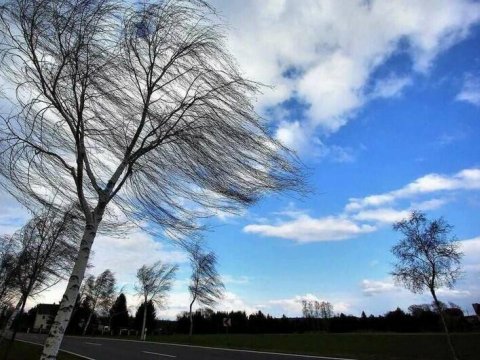 Güclü külək əsəcək - Sarı xəbərdarlıq