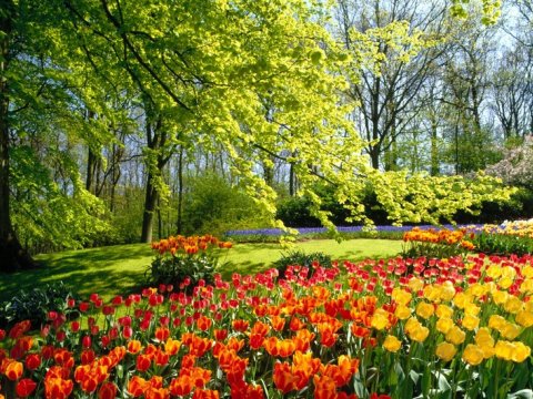 Sabah 29 dərəcə isti olacaq