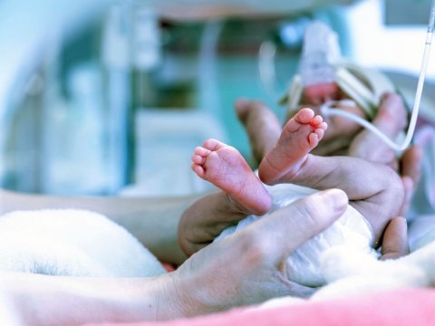 "32-33 həftəlik doğulan uşaqların yaddaşı zəif olur"