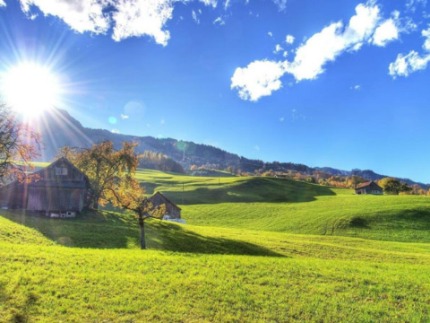 29 dərəcə isti -&nbsp;GÜNÜN HAVASI