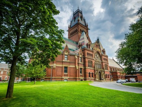 Tramp Harvard Universitetini vergidən azad statusundan məhrum etməyi planlaşdırır