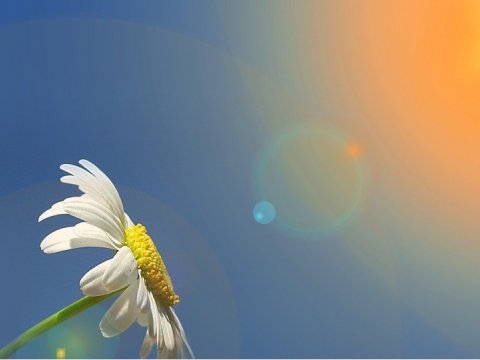 Sabah 30 dərəcə isti olacaq