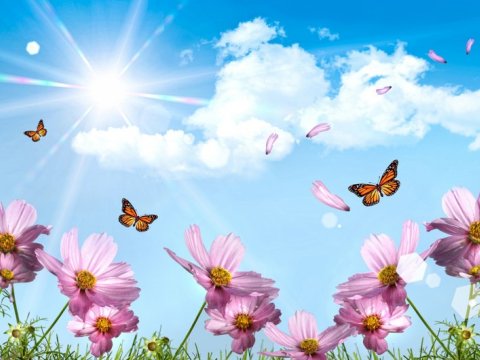 Sabahın hava proqnozu açıqlanıb