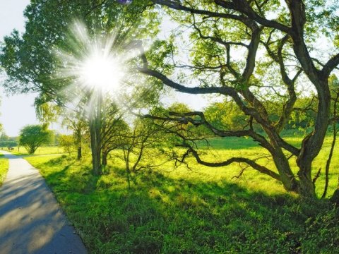 Bazar günü havanın temperaturu 30 dərəcəyədək yüksələcək