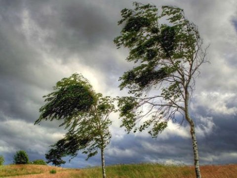 Küləkli hava şəraiti ilə bağlı xəbərdarlıq edilib