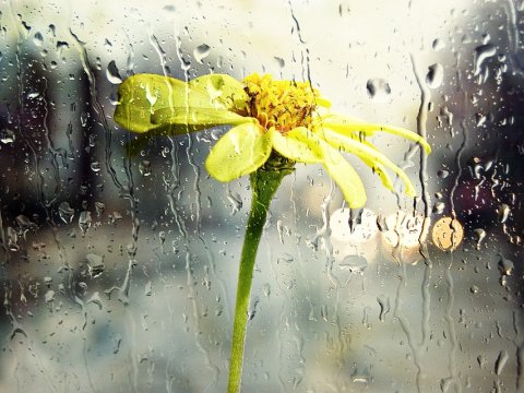 Yağış, şimşək, qısamüddətli leysan: GÜNÜN HAVASI