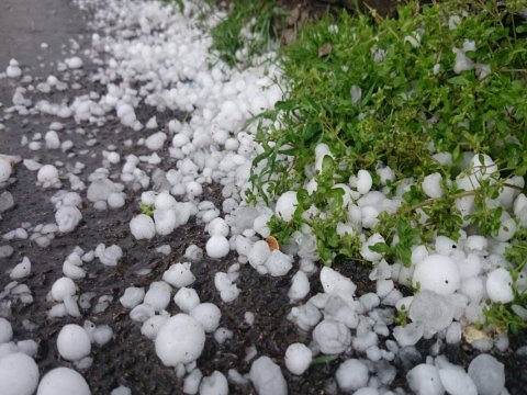 Zaqatalaya dolu yağdı