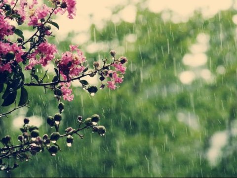 Yağış yağacaq, dolu düşəcək - XƏBƏRDARLIQ